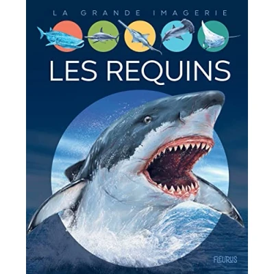 Image de Les requins Livre d’occasion Très bon