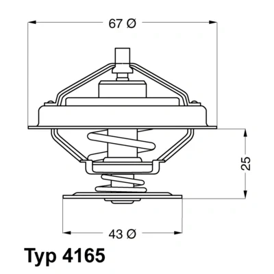 Image de WAHLER 4165.79D Thermostat d&#039;eau 79 avec joint d&#039;étanchéite
