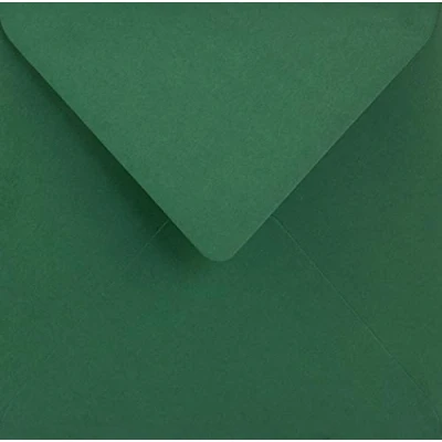Image de Netuno 25 enveloppes carrées vertes foncées 153x153mm 115g Sirio Color Foglia enveloppe colorée décorative élégante pour lettres invitations mariage Noël cartes de voeux anniversaire fêtes