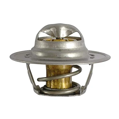 Image de FAE 5205287 Thermostat d&#039;eau 87 avec joints VOLKSWAGEN: GOLF 4, 5, 6, AUDI: A3 3/5 portes, Sportback, A4 B7 Avant, SEAT: Ibiza 3
