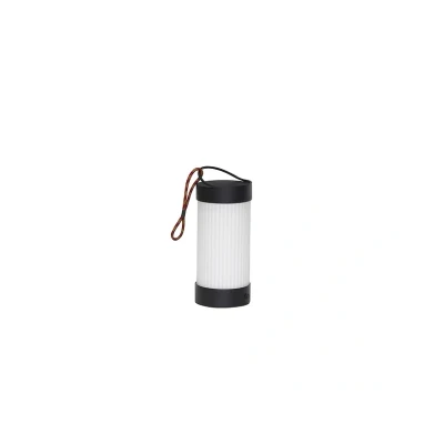 Image de HÜBSCH Lampe à poser LED rechargeable Camp noir, verre, fer, IP44
