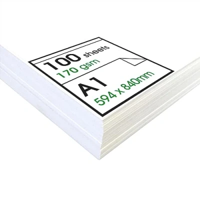 Image de Artway Enviro Lot de Papier Cartouche 170 g/m² Format A1 (100 Feuilles)