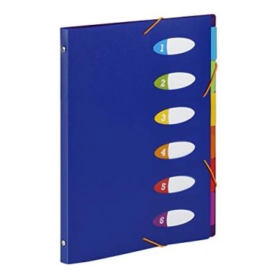 Image de VIQUEL Trieur HAPPY FLUO PP 5/10e 6 touchesFormat A4. Coloris Bleu