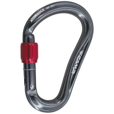 Image de C.A.M.P. Camp Mousqueton Atom Lock Unisexe, Gunmetal, Taille Unique