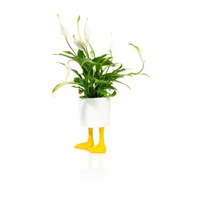 Image de Pot de Fleurs Pieds Canard Jaune Petit modèle