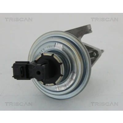 Image de TRISCAN 8813 16045 Vanne EGR commandé par dépression sans joints FORD: Transit Mk5 Сamion à Plateau/Сhâssis, Van, Minibus