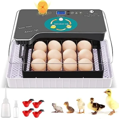 Image de Couveuse entièrement automatique pour poules, 9 à 35 œufs, avec éclairage LED efficace, canard, caille, oiseau