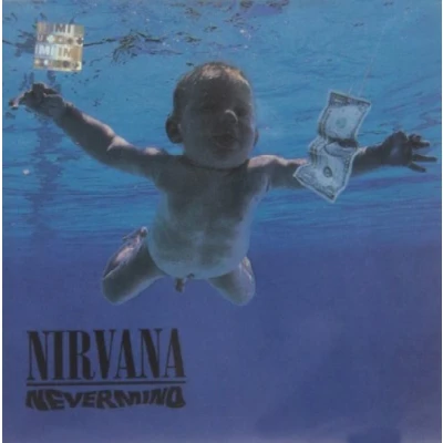 Image de Nevermind Livre d’occasion Bon