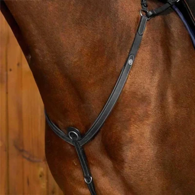 Image de Dyon Martingale Working Breastplate Noir Cob