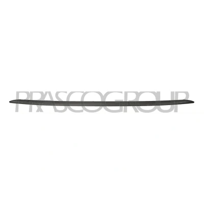 Image de Baguette et bande protectrice, pare chocs PRASCO FT0301861