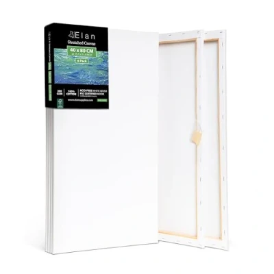 Image de Elan Toile à Peindre 40x80, 100% Coton 6 Pack de Toiles Pré étirées, Peinture, Vierge, Canvas Peindre, Chassis Entoilé, a