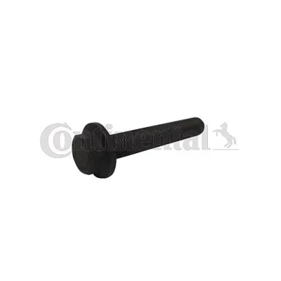 Image de CONTITECH MS26 Kit de vis, poulie vilebrequin FORD: S Max Mk1, Focus Mk1 3/5 portes, Break