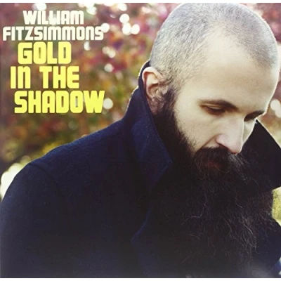 Image de Gold in The Shadow