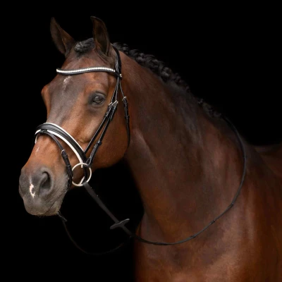 Image de HV Polo Bride Legacy Deluxe Noir/Blanc Poney