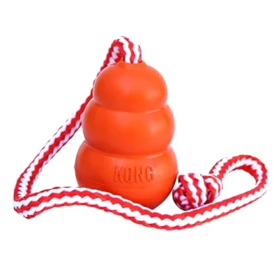 Image de Jouet flottant pour chien Kong Aqua Taille L
