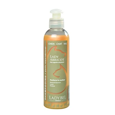 Image de LADYBEL Lady Abricot Shampooing pour Chien