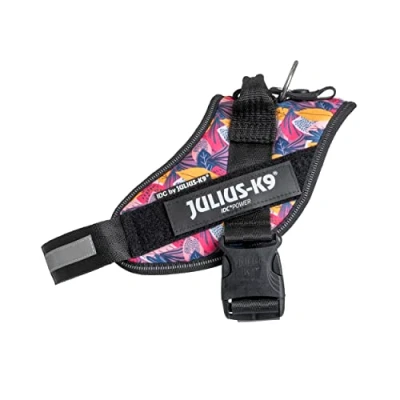 Image de Harnais IDC Power, Taille: M/0, Leaf 2 Limited Edition