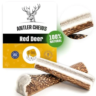 Image de RF Deer Bois de Cerf élaphe, Premium Soft L, 17 19 cm (111 150 g), Cornes et pour Chiot Chien, Jouet os à Macher des Le Plaisir Les Soins dentaires, 100% Naturel Bâtonnets