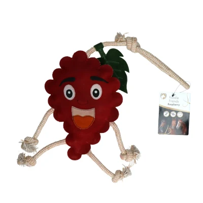 Image de Hofman Foody Friend Raspberry