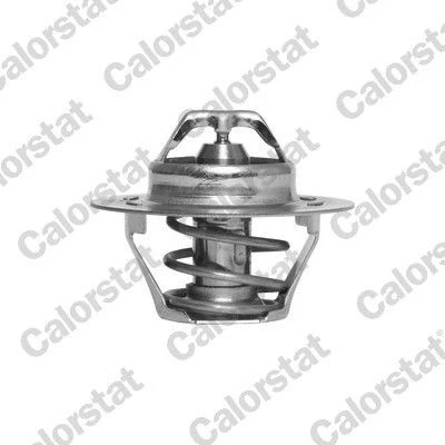 Image de Thermostat d&#039;eau CALORSTAT by Vernet TH4168.89J