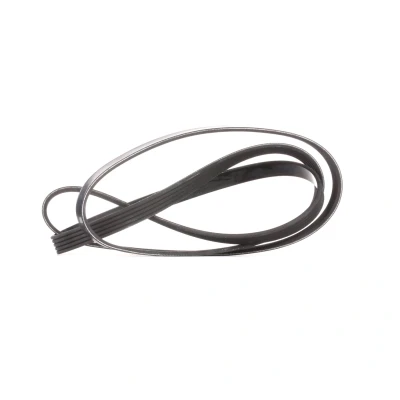 Image de DAYCO 5PK1800 Courroie Poly V 1800,0 5 KIA: cee‘d I portes, RIO 2, Break, HYUNDAI: Getz, i30 3/5 Break