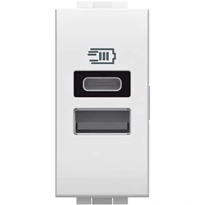 Image de Bticino N4191Aa Chargeur USB avec deux entrées de type A et C, à installer dans la plaque Livinglight, pour recharger un appareil électronique jusqu&#039;à 15 W ou appareils assemblés, 1 module, blanc