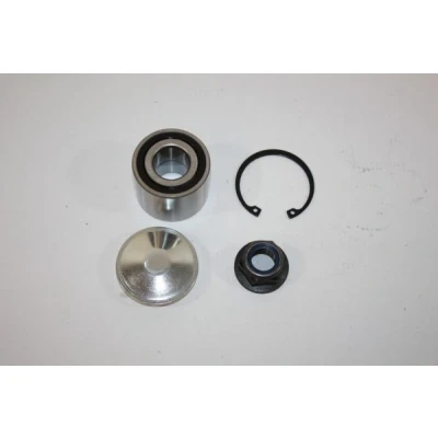 Image de Kit de roulements roue AUTOMEGA 110110210