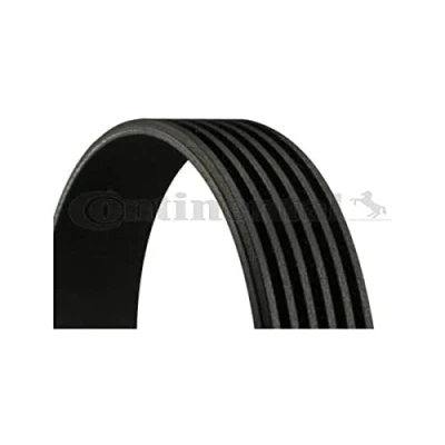 Image de CONTITECH 6PK780 ELAST Courroie Poly V 780 6 PEUGEOT: 207 CC, 3/5 portes, 307 CITROËN: C3 I C2 C4 portes