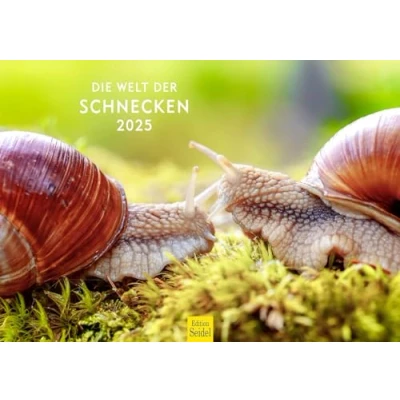 Image de Edition Seidel Calendrier mural 2025 de qualité supérieure Format A3 Motif : escargots et animaux rampants Nature