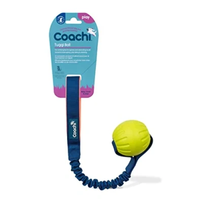 Image de Tuggi Ball Coachi, design robuste, léger, solide, sûr et drôle, poignée élastique, pour chiens chiots, dressage avec récompense, rappel, stop aux morsures mâchonnements, idéal l’agilité.