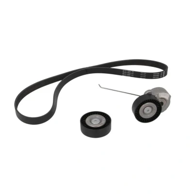 Image de INA 529 0320 10 Jeu de courroies trapézoïdales à nervures Contrôler et changer roue libre alternateur si nécessaire VOLVO: V70 3, XC90 I, XC60 I