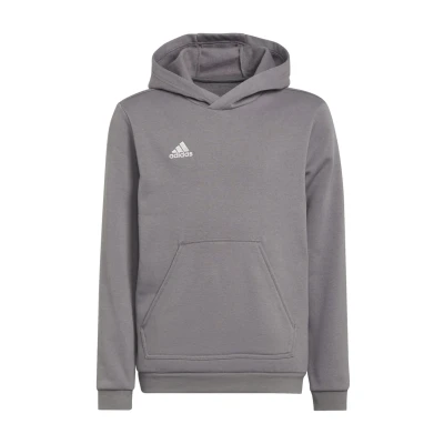 Image de adidas Entrada 22 Sweat Hoodie Hooded Mixte Enfant, Team Grey Four, 5 6 Years