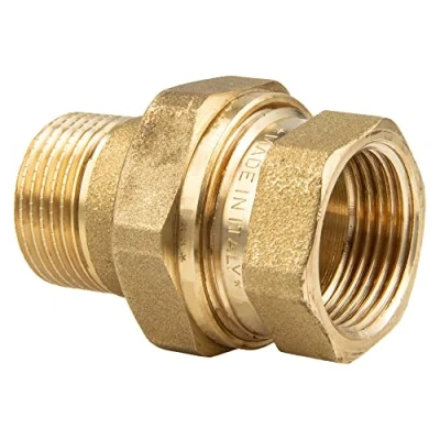 Image de tecuro Raccord vissé IG/AG 1&quot; Joint plat Laiton poli 428100