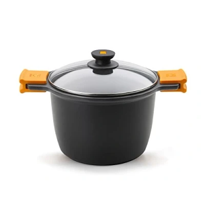 Image de BRA Efficient Marmite 20 cm avec Couvercle, Fonte D&#039;Aluminium, Ainadhésif Teflon Platiunm Plus sans PFOA, Anses en Silicone Démontables, Tous Feux Dont Induction