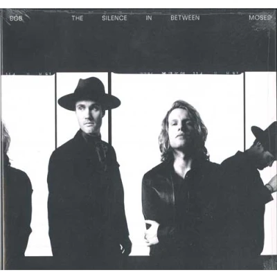 Image de The Silence In Between