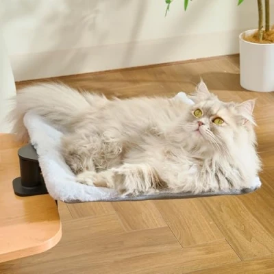 Image de CATISM Lit de Bureau pour Chat Rotation 360 avec 2 Tapis Remplaçables Hiver/été Hamac Votre 35 * 35cm jusqu&#039;à 20 kg