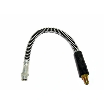 Image de DELPHI LH0276 Flexible De Frein 346 M10x1 Int SF RENAULT: CLIO 2, TWINGO 2 Kasten