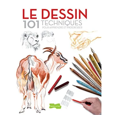 Image de Le dessin 101 techniques Pour apprendre et progresser Livre d’occasion Correct