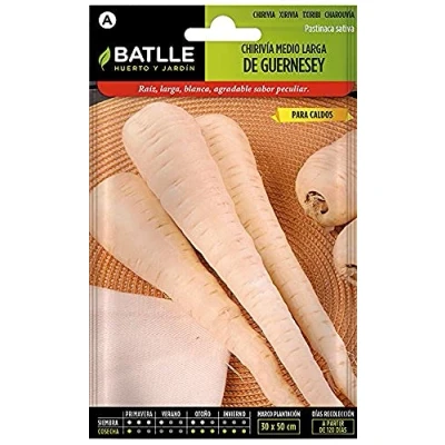 Image de Semences horticoles de Batlle Panais taille moyenne Guernesey (10g)