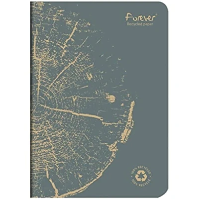 Image de Clairefontaine 684864C Un carnet Collection Forever Agrafé 100% Recyclé Gris plomb A5 14,8x21 cm 96 Pages Lignées Papier Blanc 90 g Couverture Carte Recyclée
