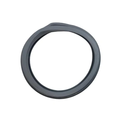 Image de Hotpoint C00111416 et lavable en machine Joint de Porte C00262267
