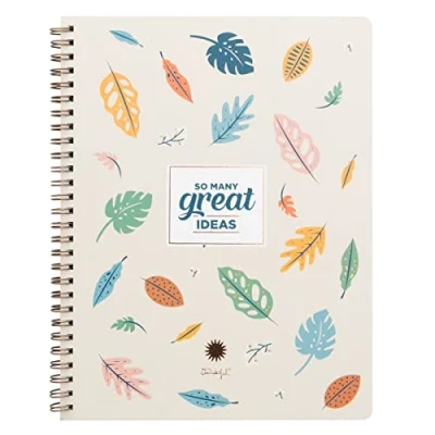 Image de Mr. Wonderful A5 notebook So many great ideas