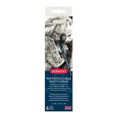 Image de Derwent Watersoluble Sketching Set de 6 Crayons à Croquis Aquarellables, 3 Degrés Dureté (HB, 4B et 8B), Taille Crayon Inclus, Qualité Professionnelle, 0700837