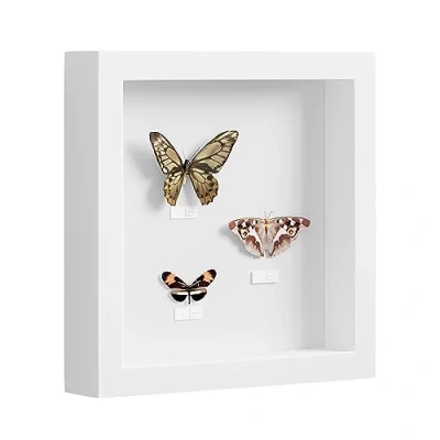 Image de EUGAD 3D Cadre photo Vitre en plastique avec Papier Passe partout, bois de Boîte d&#039;Ombre pour Objets jusqu&#039;à 3cm, 30x30cm, Blanc