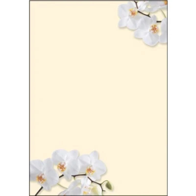 Image de SIGEL Dp904 Papier à Lettres, 21 X 29,7 cm, 90G/M², Orchidées Blanches, Jaune, 50 Feuilles,