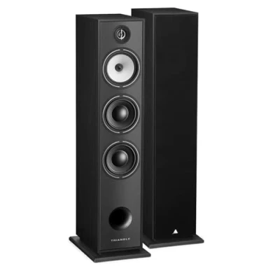Image de Triangle Enceinte Colonne Hi FI BOREA BR08 Puissance Admissible 150W Rendement 92 DB/W/m Haut parleurs 16 cm Polyvalente Musique et Home Cinéma 206 x 1020 314 mm Noir (Paire)