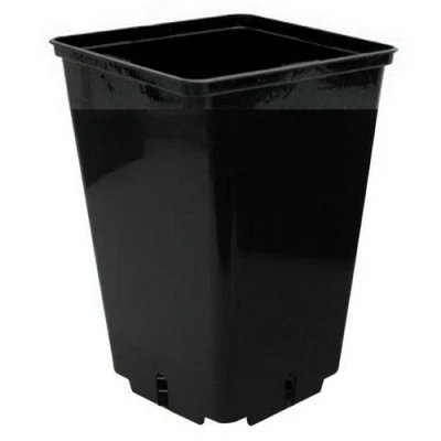 Image de NBGRLVS Black Square Growing Pot for Plants CEP 16x16x23,5cm (4L)