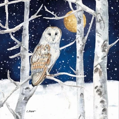 Image de Lot de 20 serviettes en papier avec motif hibou au clair lune Convient également pour le découpage et la technique des 33 x cm