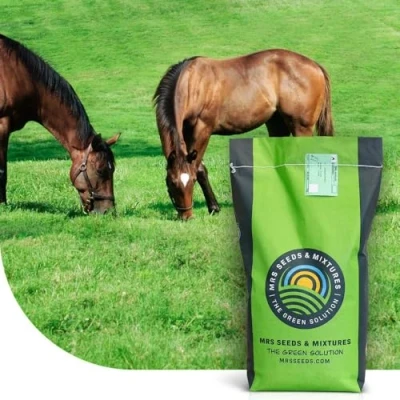 Image de Cheval Mélange De Récupération Pâturage Pour Chevaux 1 Kg 100 M² MRS Seeds &amp; Mixtures