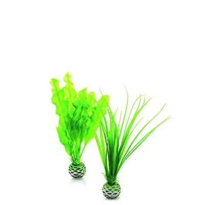 Image de biOrb Jeu de plantes S en vert